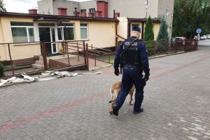 Policjant wraz z psem służbowym patroluje teren przyległy do budynku Starostwa Powiatowego